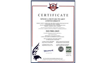 ISO 9001