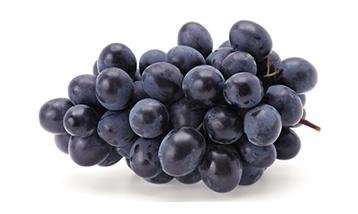 ANTEP BLACK