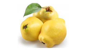 AYVA