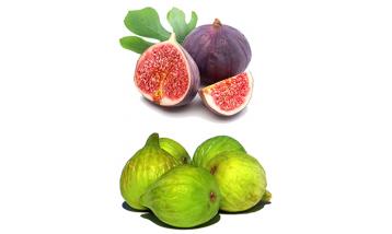 FIG