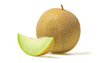 MELON