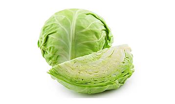 CABBAGE