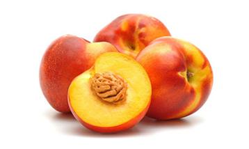 NECTARINE