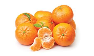 SATSUMA