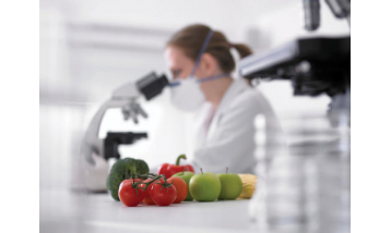 Fruit Export According to European Standards