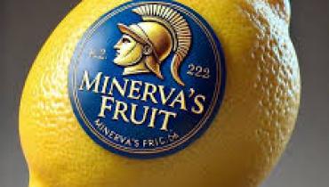 The Rise of Turkish Fruit in the European Market