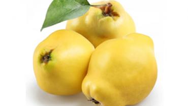 QUINCE