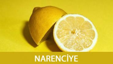 Narenciye