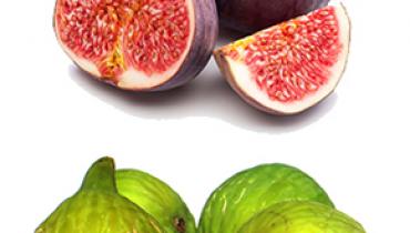 FIG
