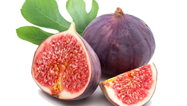 Fig Group