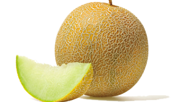 Melon Group