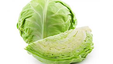 CABBAGE