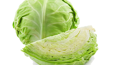 Cabbage Group