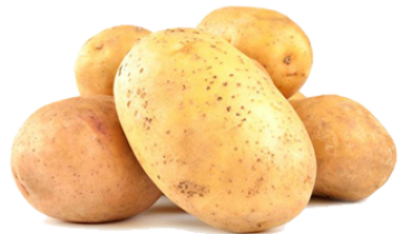 Potato Group