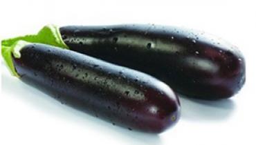 AUBERGINE