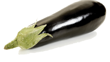 Eggplant Group