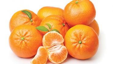SATSUMA
