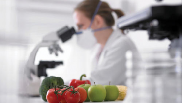 Fruit Export According to European Standards