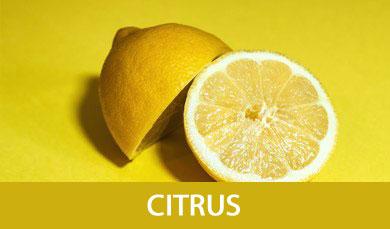 Citrus