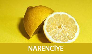Narenciye